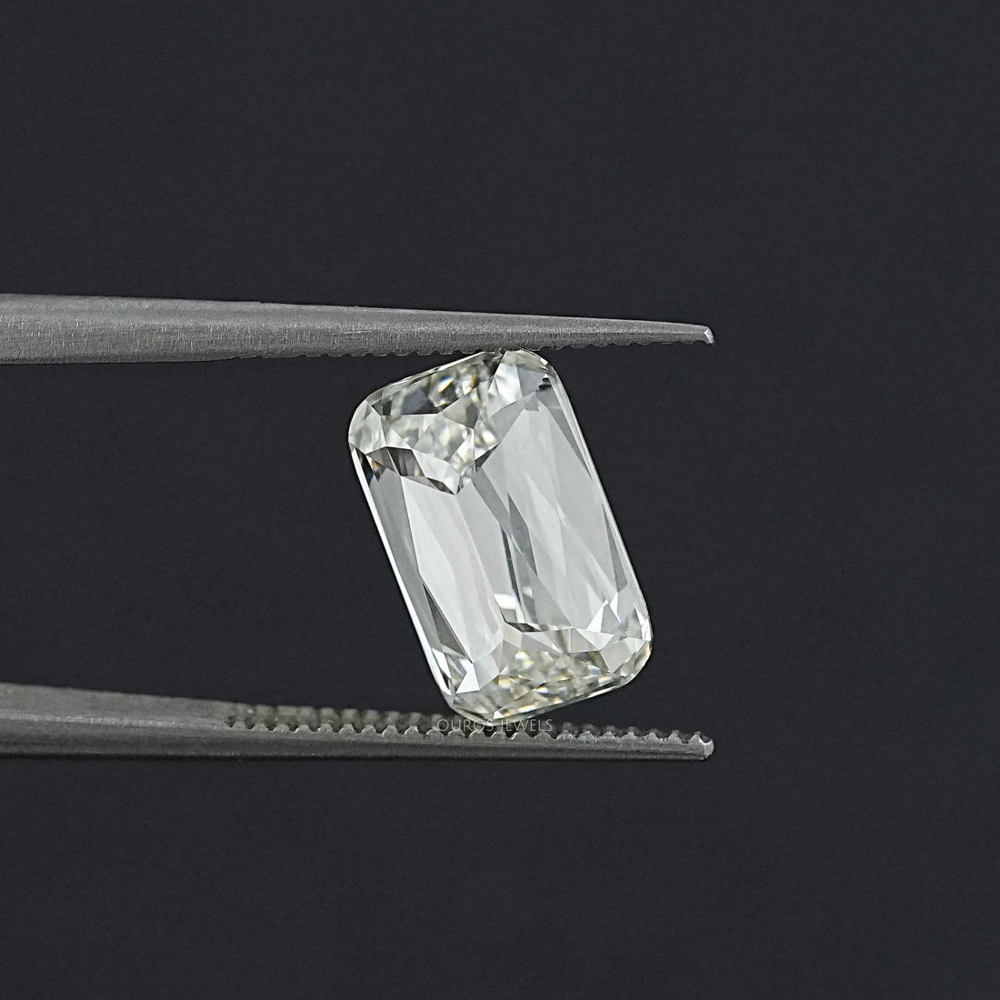 Ashoka Cut Lab Grown Loose Diamond Loose