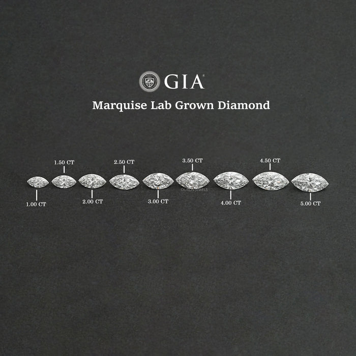 IGI Certified Raidiant Cut Lab Diamonds