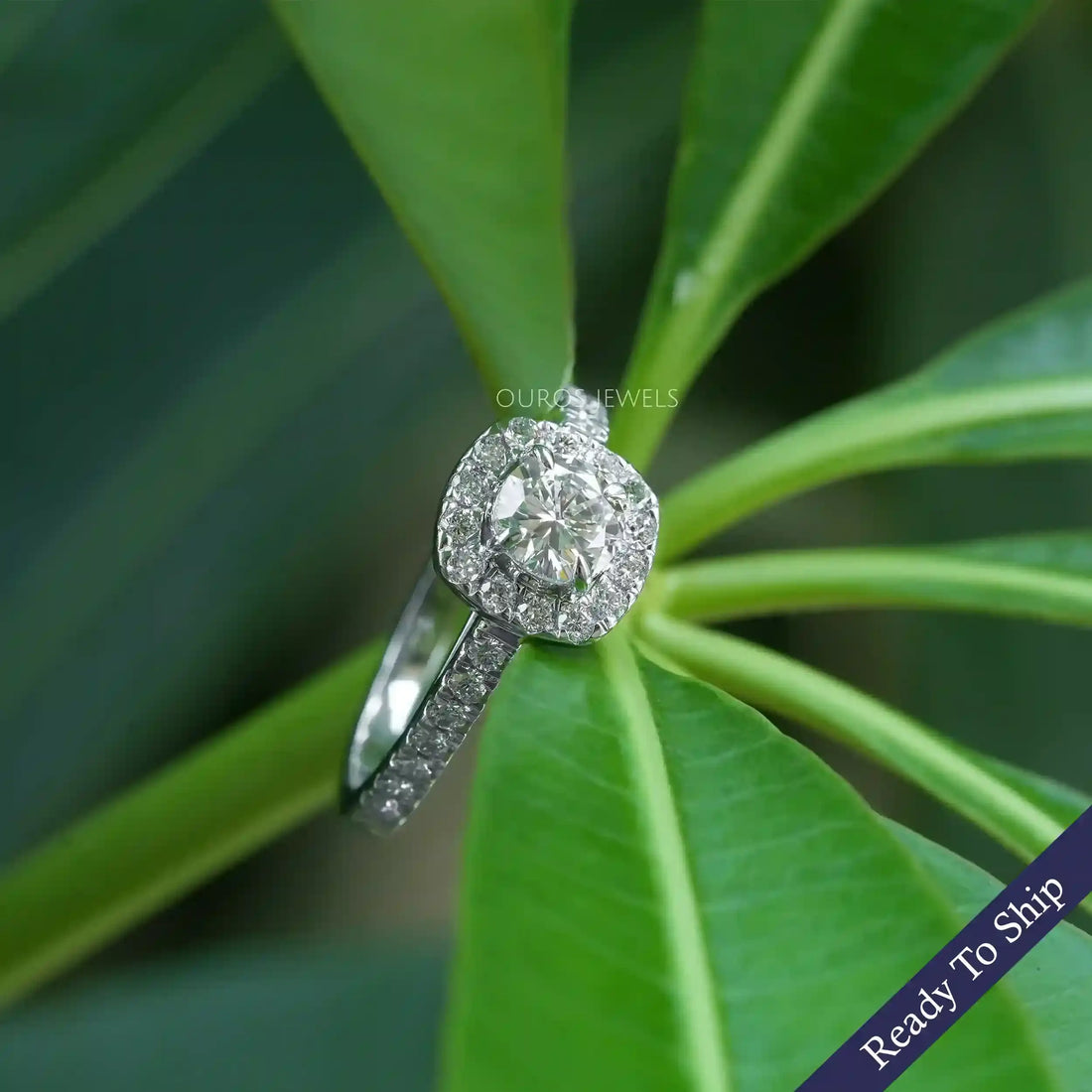 Round Cut Halo With Accent Diamond Ring Ring